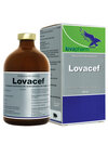 Lovacef, 50 mg/ml zawiesina do wstrzykiwań dla bydła i świń