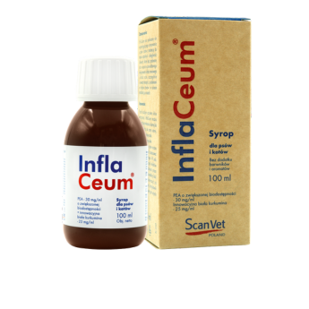 Miniaturka_Inflaceum