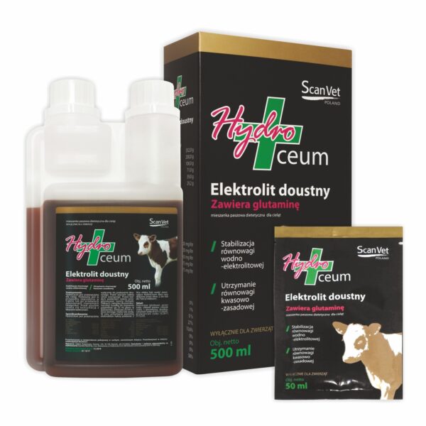 Hydroceum zdjęcie produktu