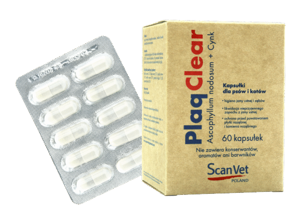plaqclear zdjęcie produktu